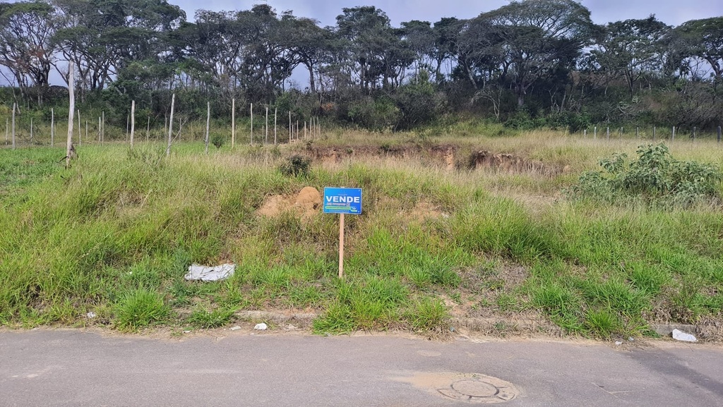 residential-/-land-lot-buriti--lambari-mg
