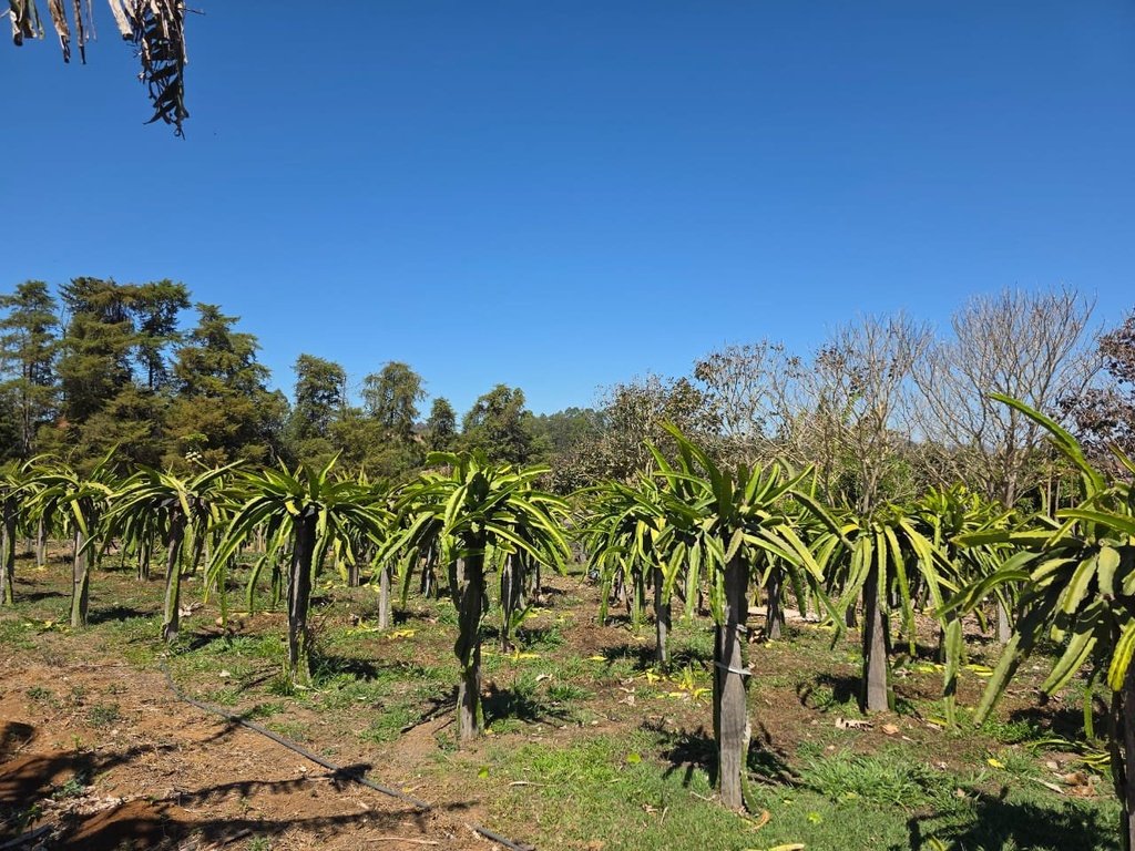 commercial-/-agricultural-2-quartos-rural-campanha-mg