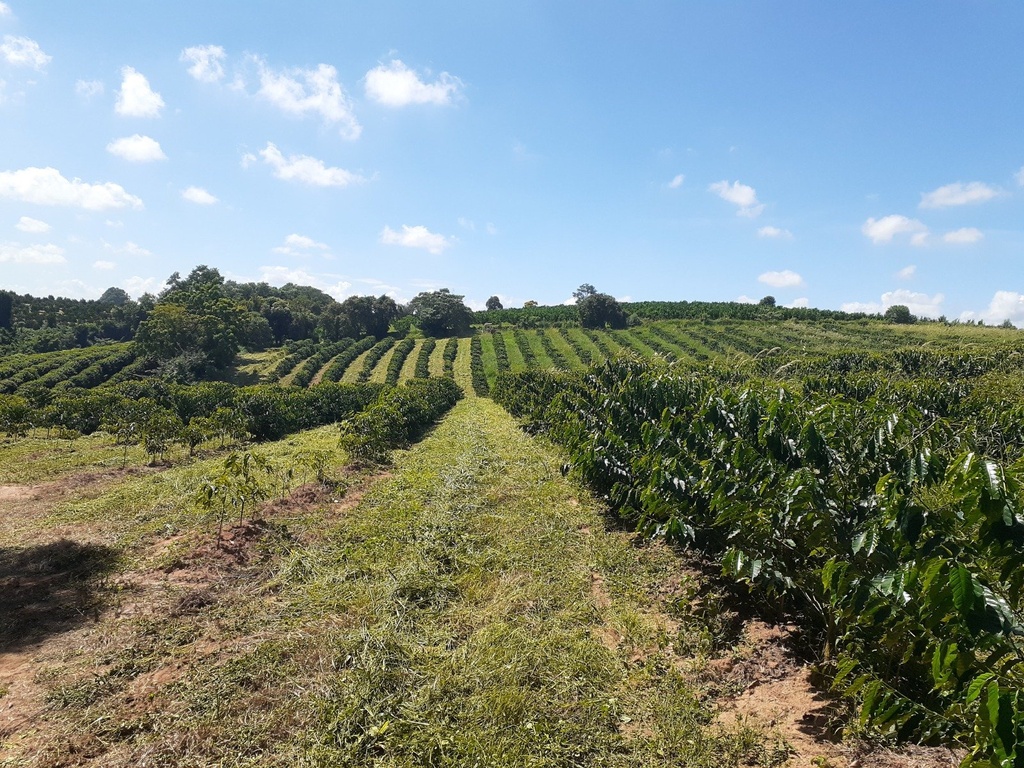 commercial-/-agricultural-2-quartos-rural-campanha-mg