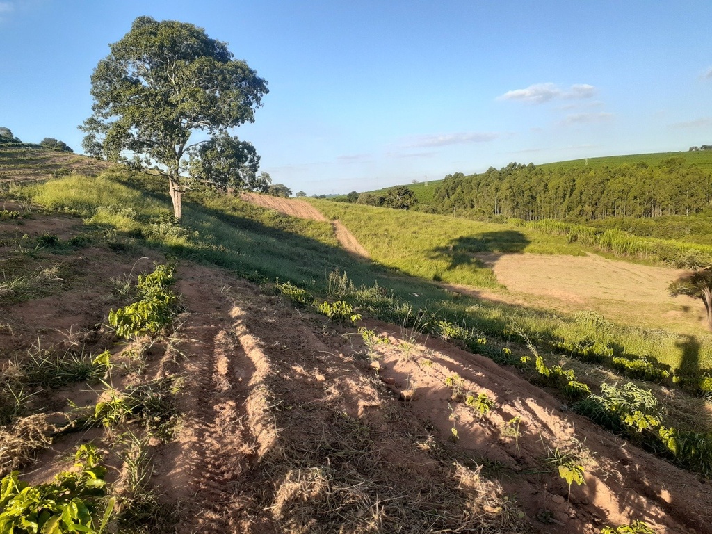 commercial-/-agricultural-2-quartos-rural-campanha-mg