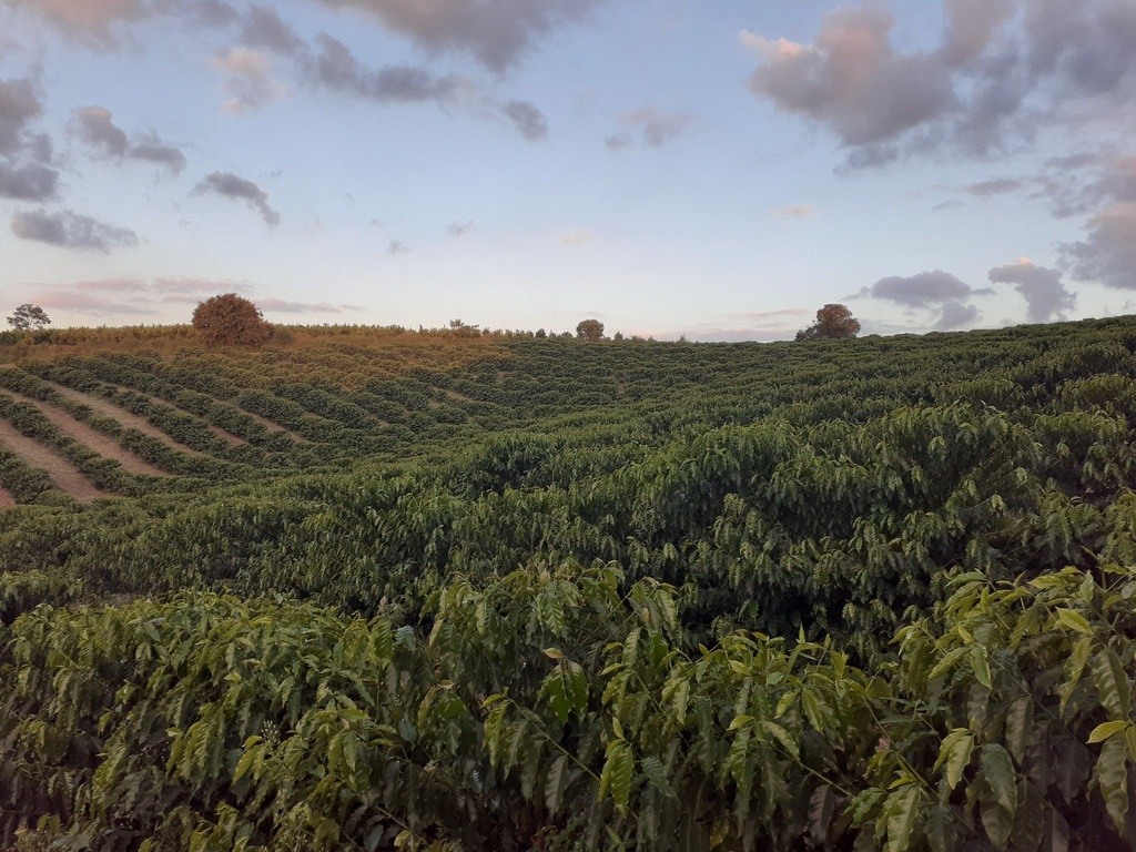 commercial-/-agricultural-2-quartos-rural-campanha-mg