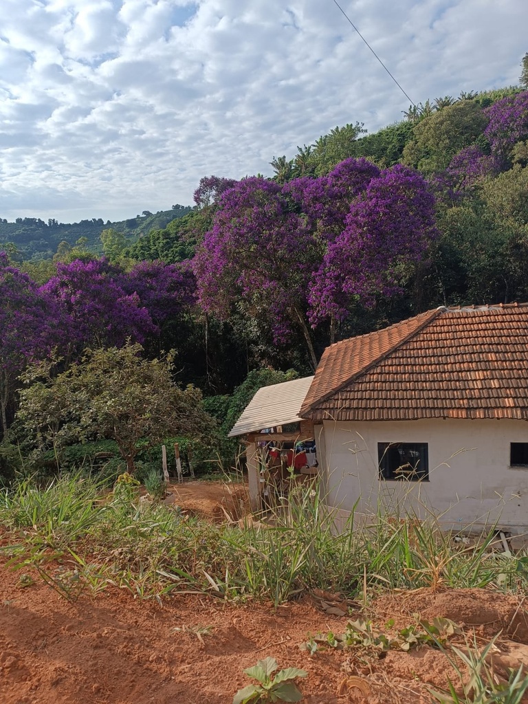 residential-/-farm-ranch-4-quartos-12000m2-piripau-lambari-mg