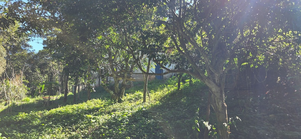 residential-/-farm-ranch-4-quartos-sao-bartolomeu-lambari-mg